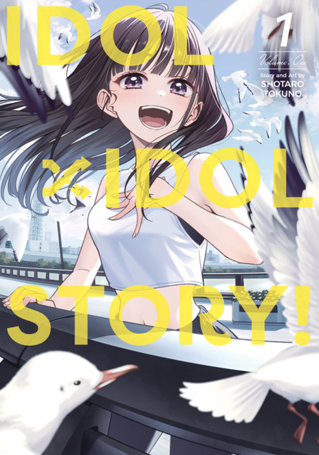 IDOL X IDOL STORY! GN VOL 01 | $29.38